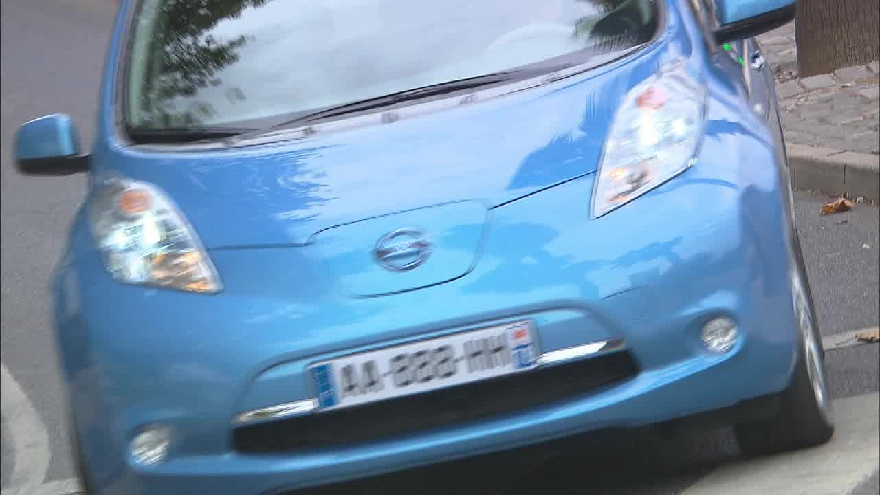 LEAF - Dynamics video